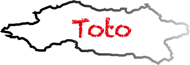 Toto